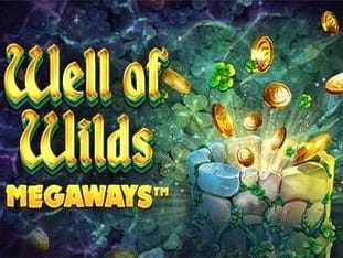 Well Of Wilds Megaways game icon